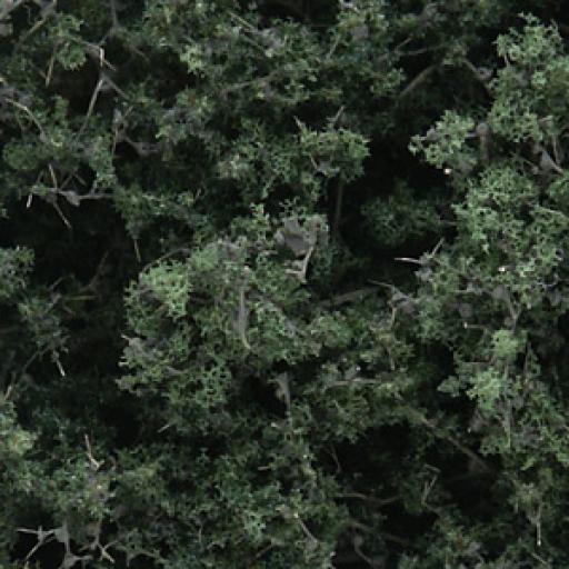 F1130 Fine-Leaf Foliage Dark Green