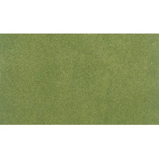 Prod8084.jpg