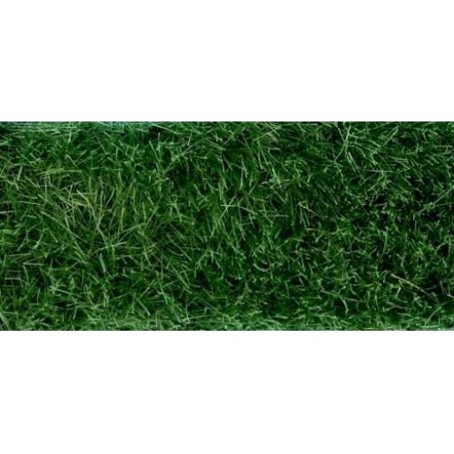 Gm-191 Rough Grass Dark Green