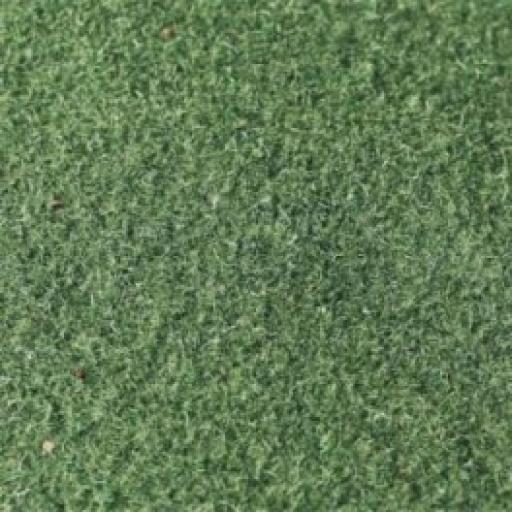 00972 Grass Mat Moss 50" X 34" Tasma