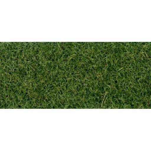 Gm-172 Moorland Grass Flock Static 30G