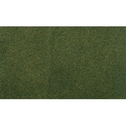 Prod4857.jpg