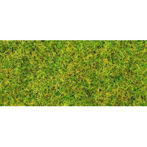 Gm-170 Spring Grass Flock Static 30G