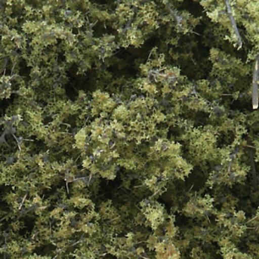 F1132 Fine-Leaf Foliage Light Green