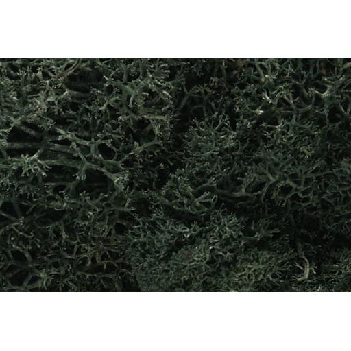 L164 Lichen Dark Green Woodland Scenics