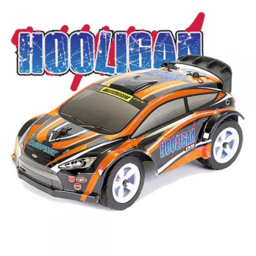 Ftx Hooligan Jnr 1:28 Rtr Rally Car Ftx5526