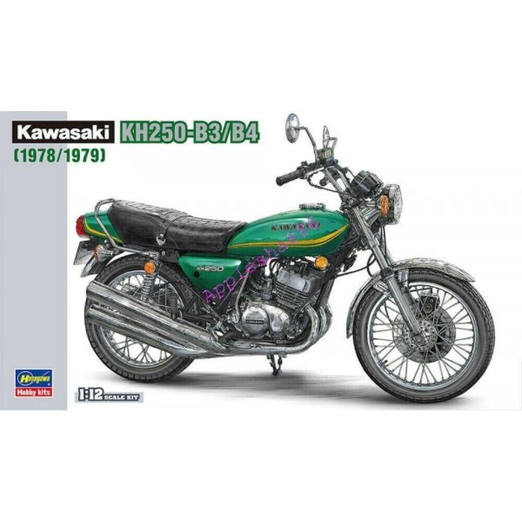 21508 KH250-B3/B4 1978 1:12 HASEGAWA