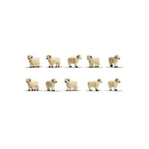 R7122 SHEEP HORNBY